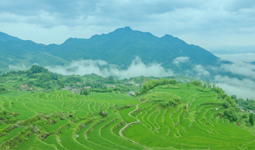 漫游丽水