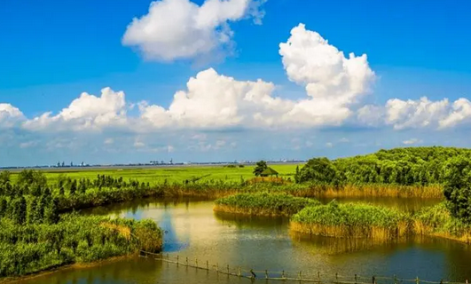 江浙沪夏日崇明岛两日团建