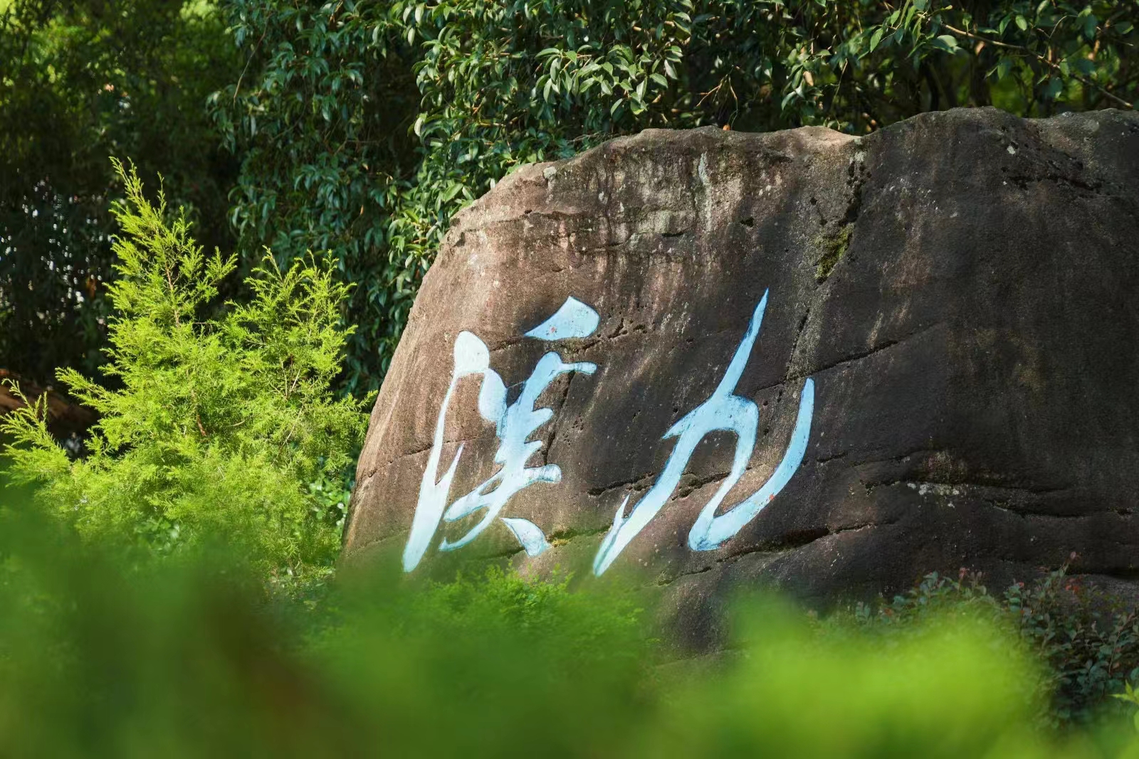 华为公司组织员工参加九溪徒步旅行团建活动