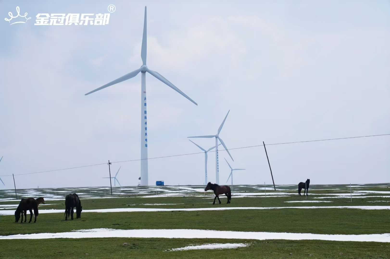 中蒙穿越挑战赛