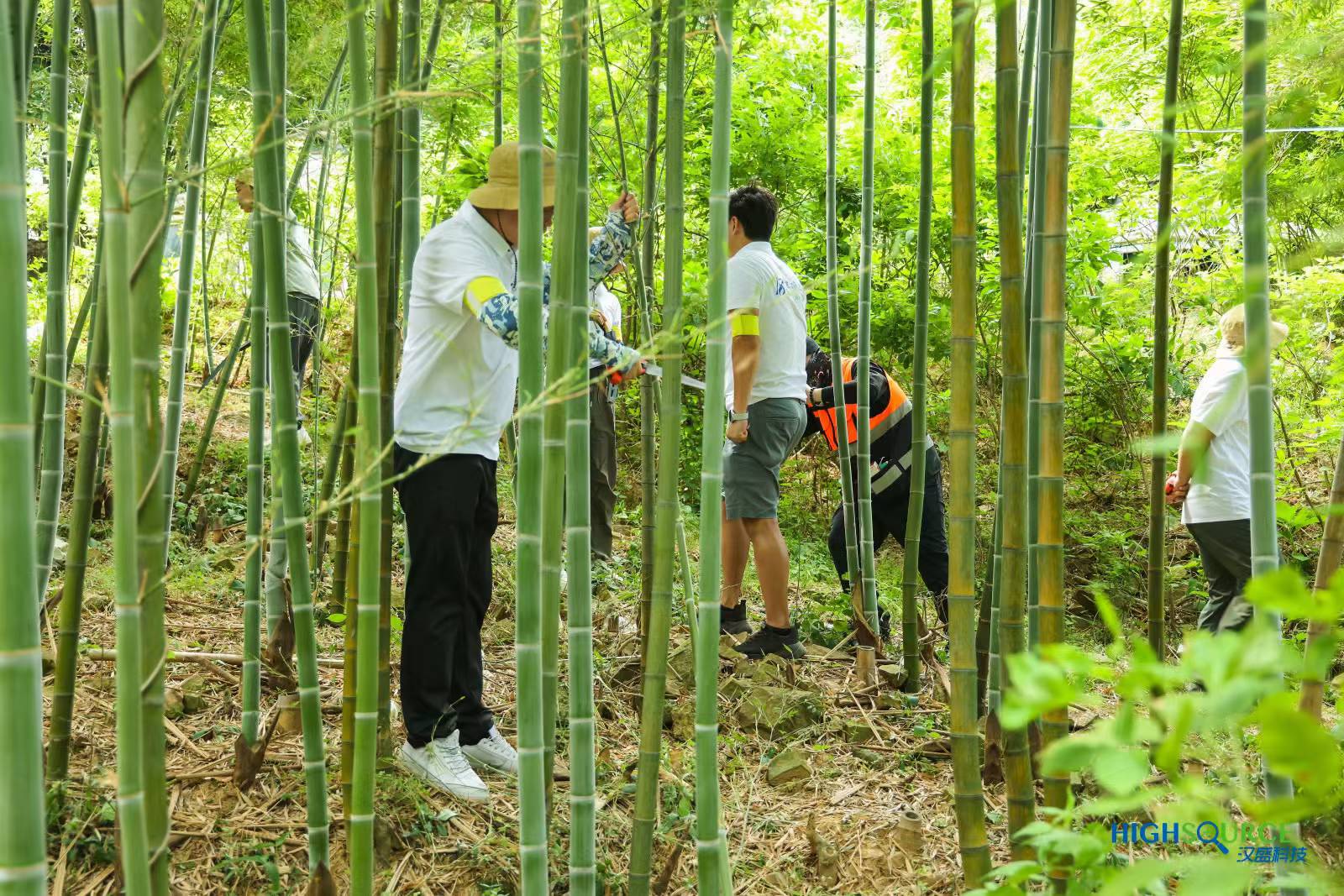 汉盛荒岛求生团建