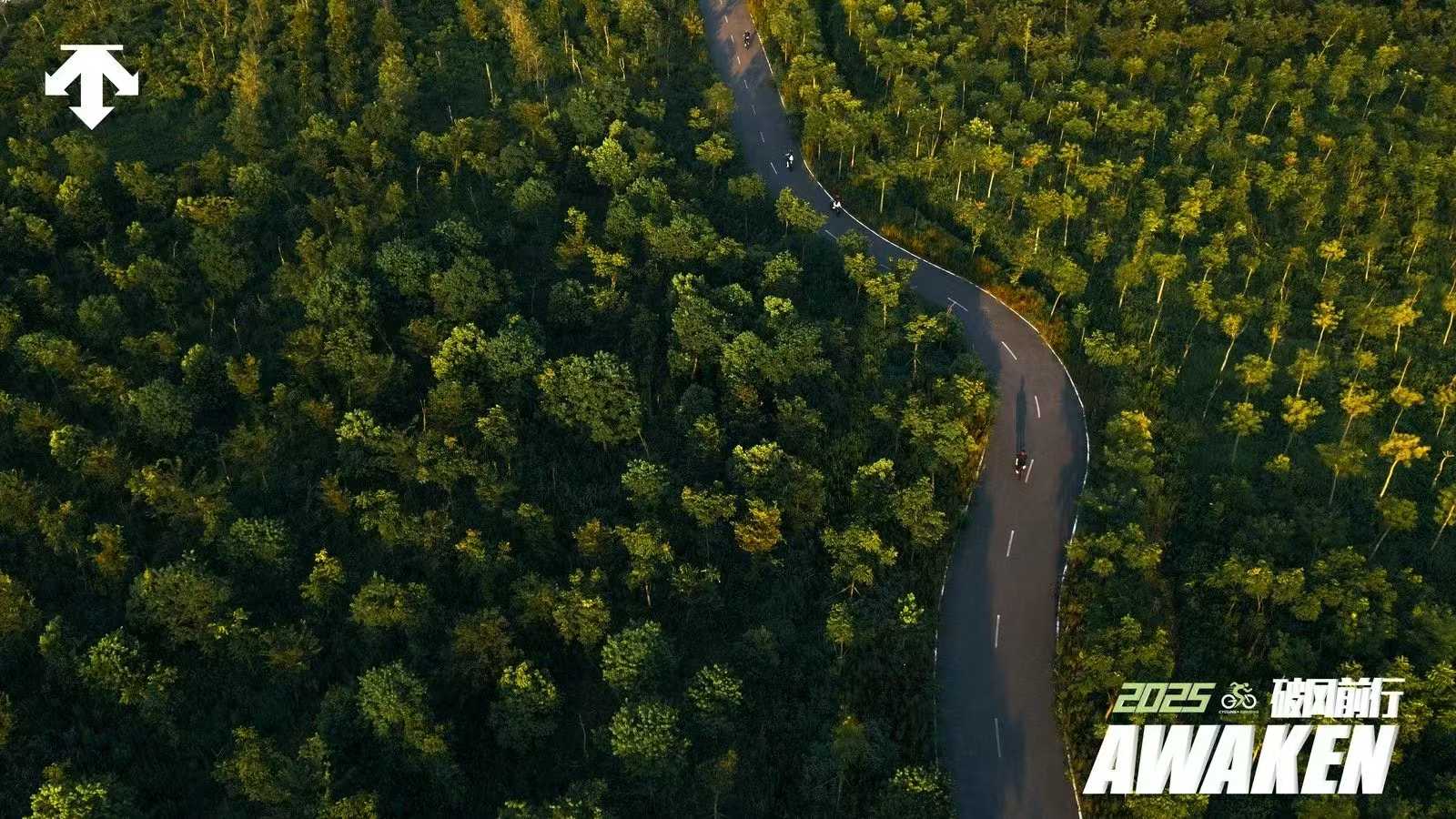 迪桑特骑跑赛